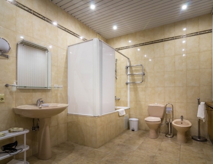 Стандарт 2-местный 1 категории в  корп. 2 - Санаторий «Москва» Ессентуки